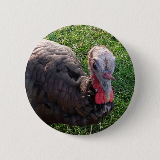 Wedroseのエーカーボタン1 缶バッジ (正面)