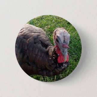 Wedroseのエーカーボタン1 缶バッジ