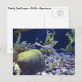 Weedy Seadragon # 1 ポストカード (正面/裏面)