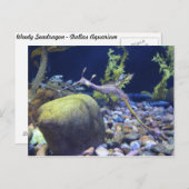 Weedy Seadragon # 2 ポストカード (正面/裏面)