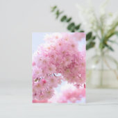Weeping Cherry ポストカード (スタンド正面)