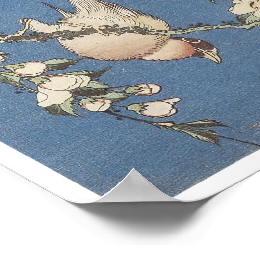 Weeping Cherry and Bullfinch, Hokusai, 1834 ポスター (角)