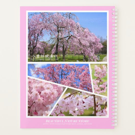 Weeping Cherry Blossoms プランナー手帳 (裏面)