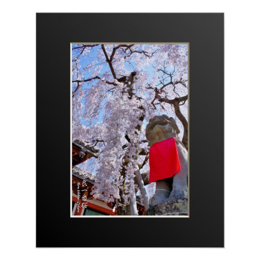 Weeping cherry tree ("Nara Ichiban-Zakura") ポスター (正面)