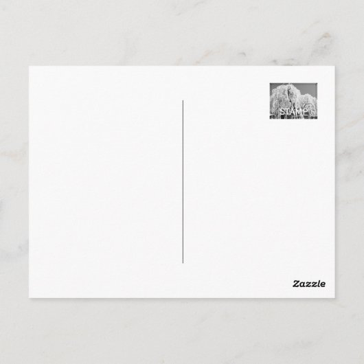 Weeping cherry tree ("Nara Ichiban-Zakura") ポストカード (裏面)