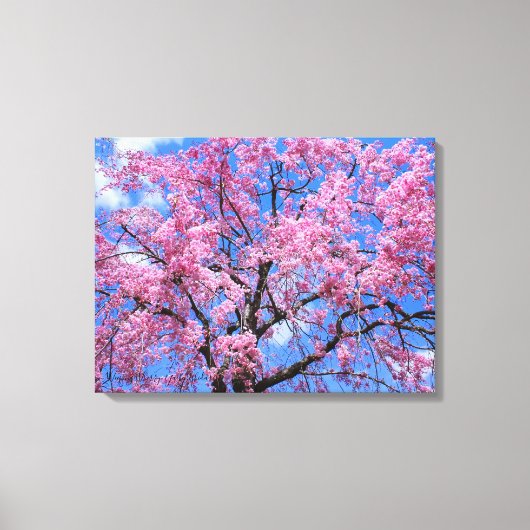 Weeping Cherry: Yaebenishidare [Canvas Print] キャンバスプリント (正面)