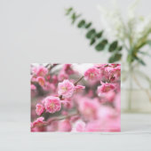 Weeping Japanese Apricot ポストカード (スタンド正面)