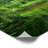 Weeping Willow ポスター (角)