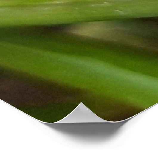 Weevil 、カブトムシ、Curculooidea 、バグ ポスター (角)