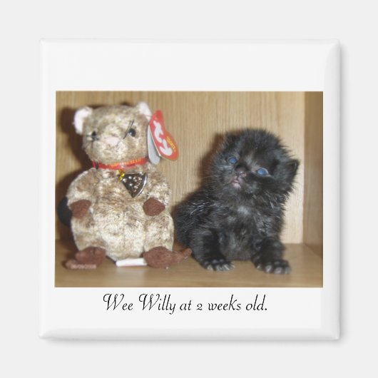 WEEWILLYvs4inchBB-1, Wee Willy歳2週間。 マグネット (正面)