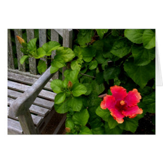 Wegerzynの園芸用品センター#30