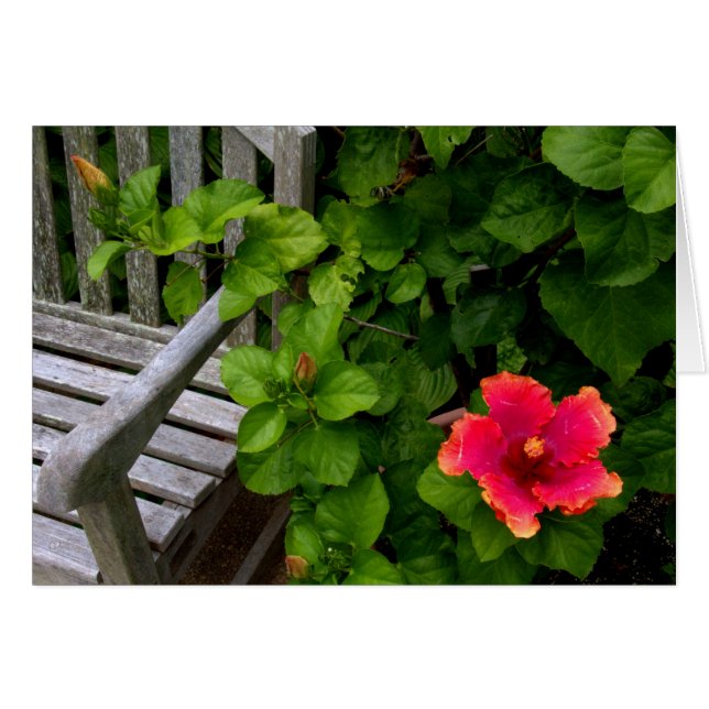 Wegerzynの園芸用品センター#30 (正面横)