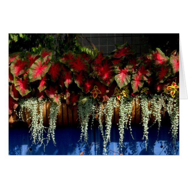 Wegerzynの園芸用品センター#34 (正面横)