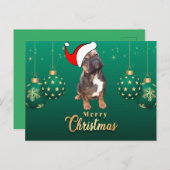 Weihnachtskarte französische Bulldoggen Christmas  ポストカード (正面/裏面)