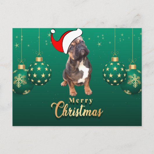 Weihnachtskarte französische Bulldoggen Christmas  ポストカード (正面)