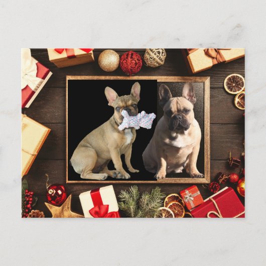 Weihnachtskarte französische Bulldoggen Christmas ポストカード (正面)