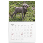 Weimaranerのカレンダー1 カレンダー (3月 2027)