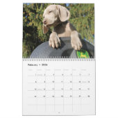 Weimaranerのカレンダー カレンダー (2月 2026)
