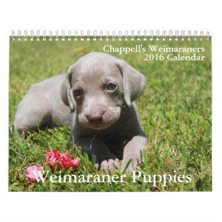 Weimaranerのカレンダー カレンダー