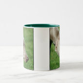Weimaranerのマグ ツートーンマグカップ (中央)
