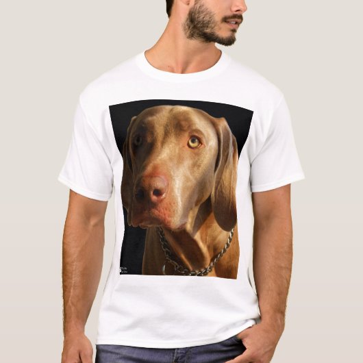 Weimaranerのワイシャツ Tシャツ (正面)