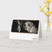 Weimaranerの国家: "思慮深い凝視" カード (黄色い花)