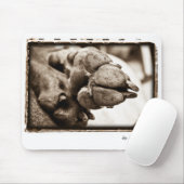 Weimaranerの国家: "旅慣れた"足 マウスパッド (マウス)