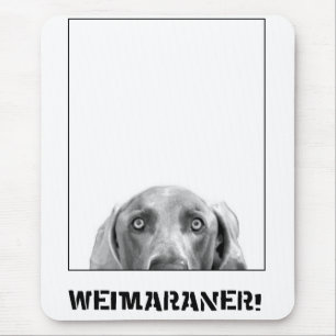 Weimaranerの国家: 箱のWeimaraner! マウスパッド