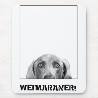 Weimaranerの国家: 箱のWeimaraner! マウスパッド