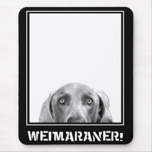 Weimaranerの国家: 箱のWeimaraner! マウスパッド