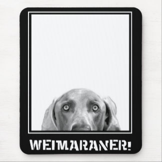Weimaranerの国家: 箱のWeimaraner! マウスパッド