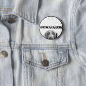 Weimaranerの国家: 箱のWeimaraner! 缶バッジ (インサイチュ)