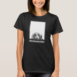 Weimaranerの国家: 箱のWeimaraner! Tシャツ