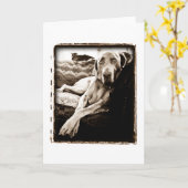 Weimaranerの国家: "Ballou椅子"の カード (黄色い花)