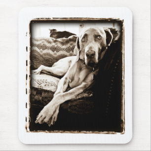 Weimaranerの国家: "Ballou椅子"の マウスパッド