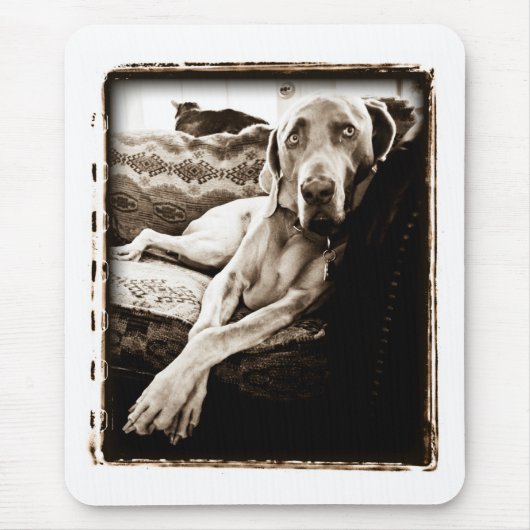 Weimaranerの国家: "Ballou椅子"の マウスパッド (正面)