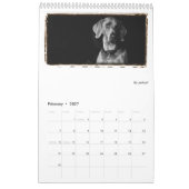 Weimaranerの国家: Weimaranersの勉強 カレンダー (2月 2027)