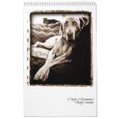 Weimaranerの国家: Weimaranersの勉強 カレンダー (カバー)