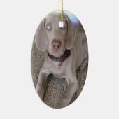 Weimaranerの子犬のオーナメント セラミックオーナメント (右)