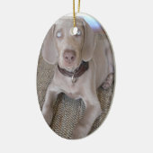 Weimaranerの子犬のオーナメント セラミックオーナメント (左)