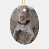 Weimaranerの子犬のオーナメント セラミックオーナメント (裏面)