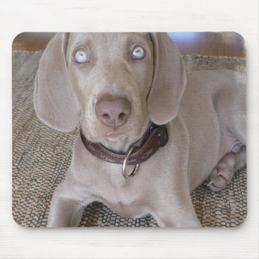 Weimaranerの子犬のマウスパッド マウスパッド (正面)