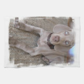 Weimaranerの子犬の台所タオル キッチンタオル (横)