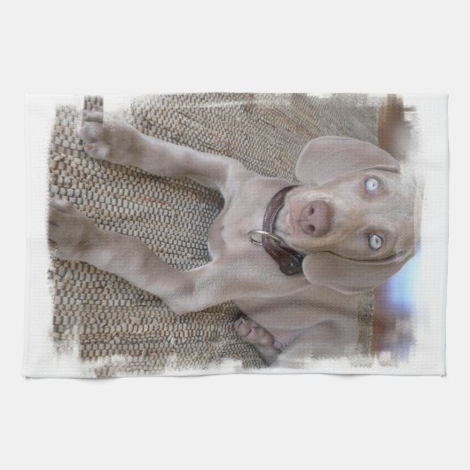 Weimaranerの子犬の台所タオル キッチンタオル (横)