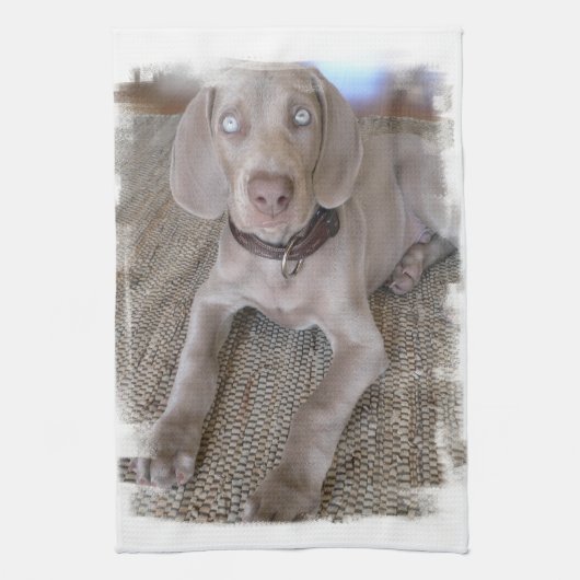 Weimaranerの子犬の台所タオル キッチンタオル (縦)