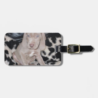 Weimaranerの子犬 ラゲッジタグ