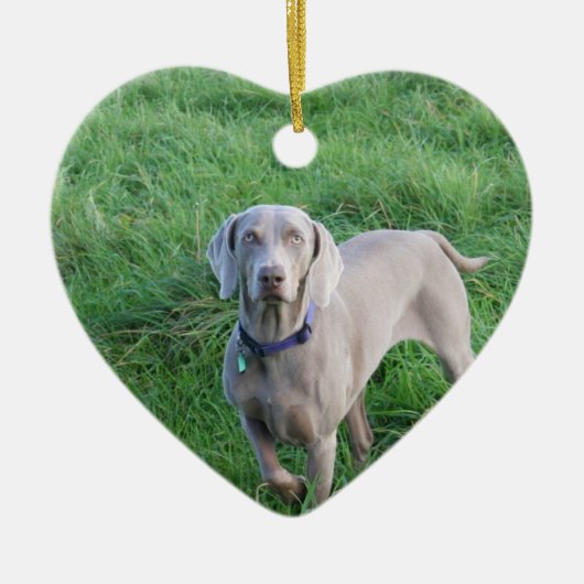 Weimaranerの恋人のオーナメント セラミックオーナメント (正面)