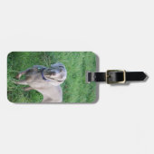 Weimaranerの恋人の荷物のラベル ラゲッジタグ (正面横)