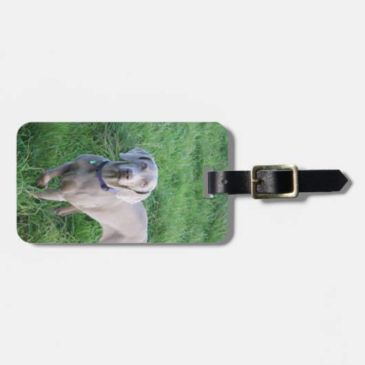 Weimaranerの恋人の荷物のラベル ラゲッジタグ (正面横)