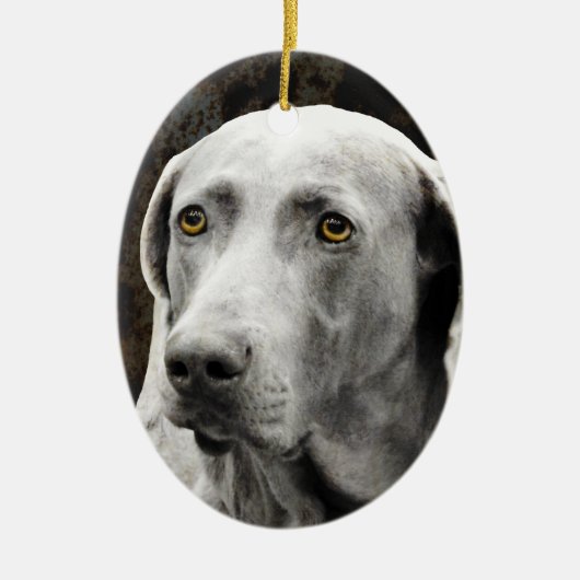 Weimaranerの感情的な目 セラミックオーナメント (正面)